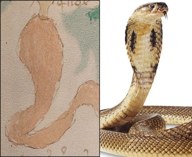 [Image: snakes.jpg?w=616]